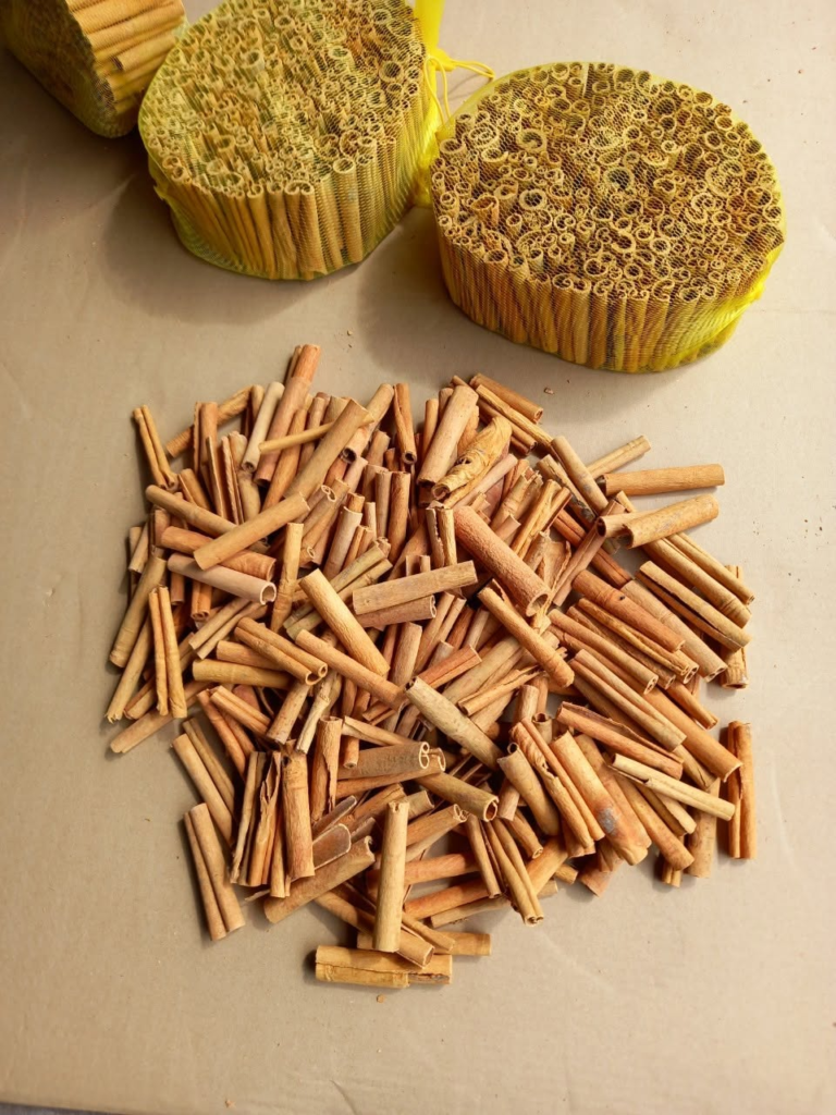 CIGARETTE CASSIA