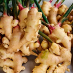 Fresh-Ginger