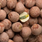 Lotus Seed red