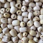 Lotus Seeds white
