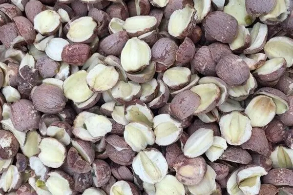 Split Lotus Seed
