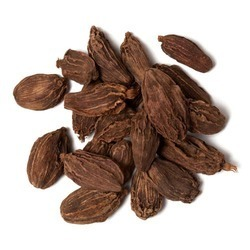 Black Cardamon VinaSpices