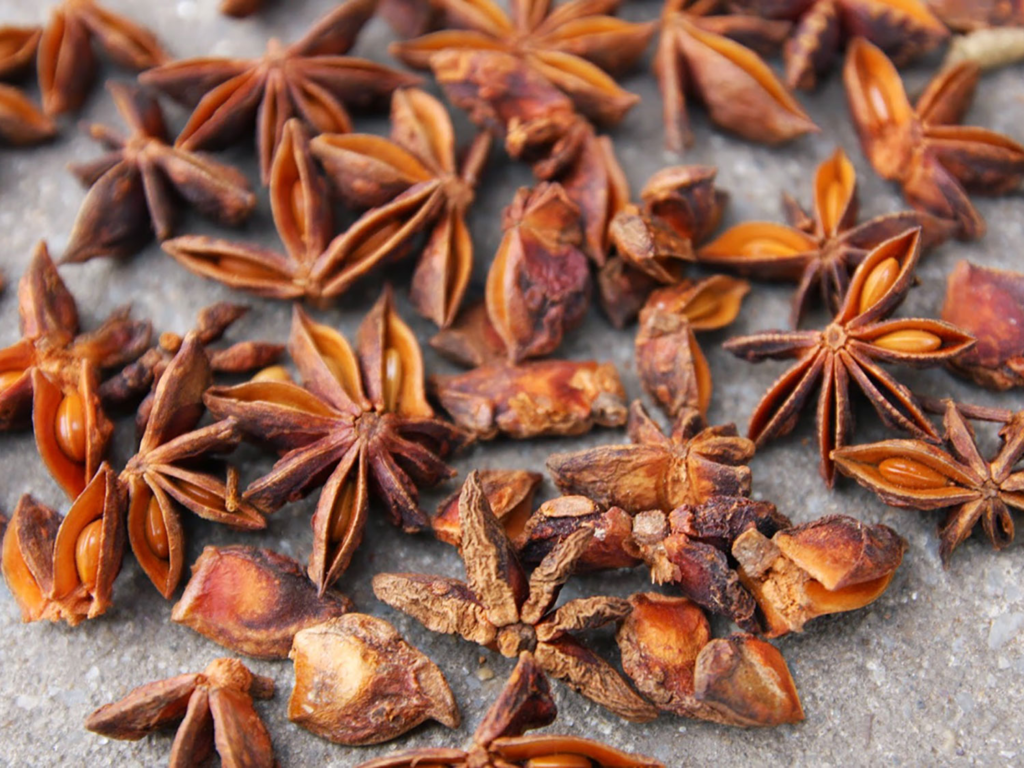 brocken-star-anise