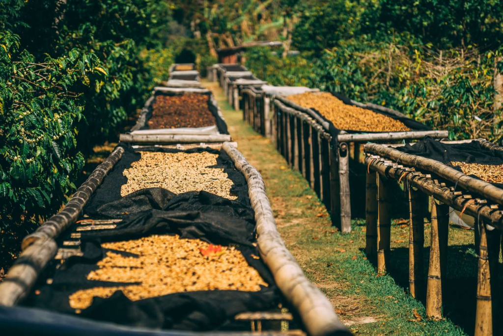 Factory and spice processing