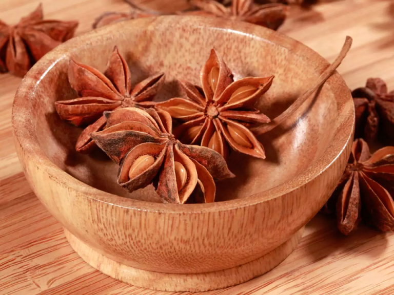 star anise of Vietnam spices