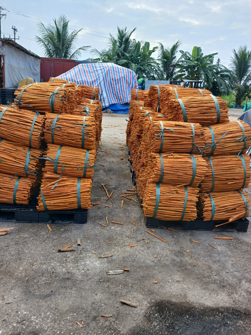Processing for export requirements